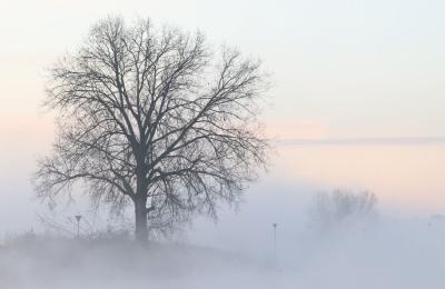 Gęste mgły w Jastrowiu i powiecie złotowskim – ostrzeżenie ważne w nocy z 24 na 25 sierpnia