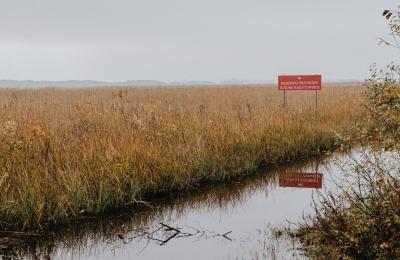 Poznań: ostrzeżenie hydrologiczne II stopnia dla zlewni Baryczy, Orli i Polskiego Rowu