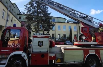 Poznań: strażacy usunęli gniazdo owadów z elewacji Wielkopolskiego Centrum Pulmonologii i Torakochirurgii