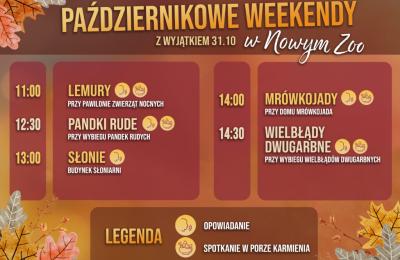 Nowe Zoo w Poznaniu: październikowe spotkania w porach posiłków ułatwią obserwację zwierząt