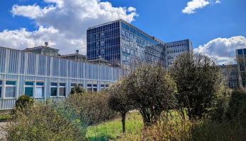 wiadomosci CentralaPoznan i region - Nowa dyrektorka szpitala w Lesznie, ale neurologia wciąż zamknięta