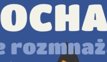 wiadomosci CentralaPoznan i region - Poznań szykuje darmową kastrację psów i kotów w 2026 roku. Mieszkańcy znowu skorzystają z ważnego programu