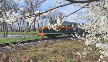 wiadomosci CentralaPoznan i region - Maltanka rusza do ZOO i nad Maltę (najpierw weekendy, od 24 kwietnia codziennie)