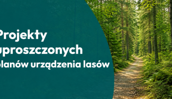 Uproszczone plany urządzenia lasów w Mosinie - czas na konsultacje
