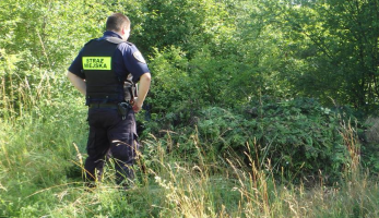 Mandat za wyrzucenie odpadów przy Forcie na Piątkowskiej w Poznaniu - Poznań