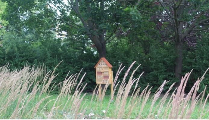 wiadomosci CentralaPoznan i region - Park Czarneckiego w Poznaniu po metamorfozie: więcej zieleni, retencji i wygody
