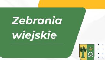 Zebranie wiejskie Sołectwa Przybroda