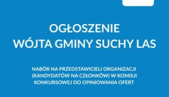 Nabór na przedstawicieli organizacji (kandydatów na członków) w komisji konkursowej do opiniowania ofert na realizację zadań