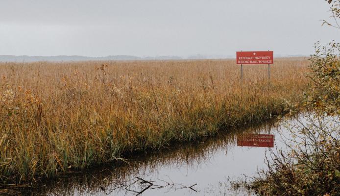 Zmiana ostrzeżenia przed suszą hydrologiczną w Wielkopolsce i regionie Poznania - Poznań