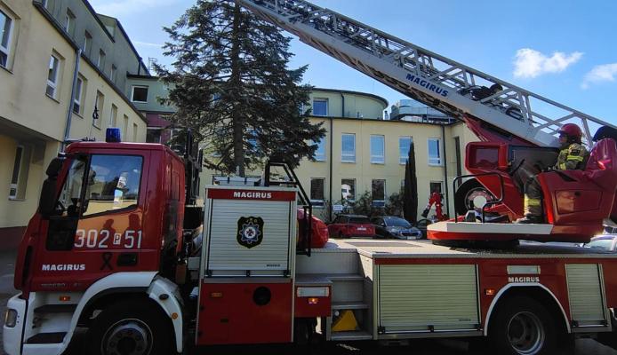 Poznań: strażacy usunęli gniazdo owadów z elewacji Wielkopolskiego Centrum Pulmonologii i Torakochirurgii - Poznań
