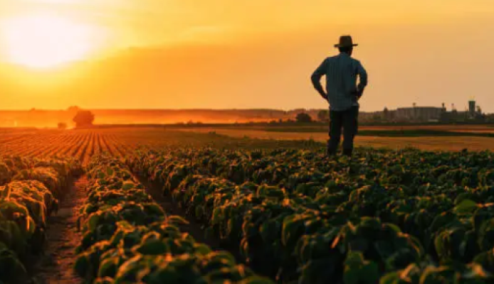 Sześć KGW i osiem sołectw z gminy Kostrzyn nominowanych w MISTRZOWIE AGRO 2026 - Kostrzyn Wlkp