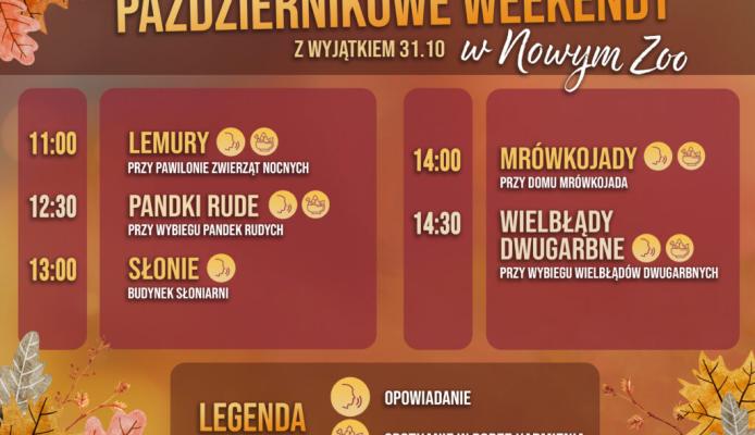 Październikowe weekendy w Nowym Zoo w Poznaniu – godziny spotkań ze zwierzętami - Poznań