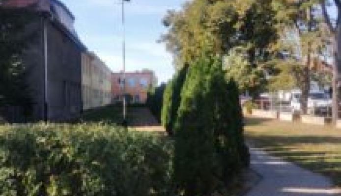 Konsultacje nazwy skweru w Skokach – terminy i sposób składania uwag - Skoki