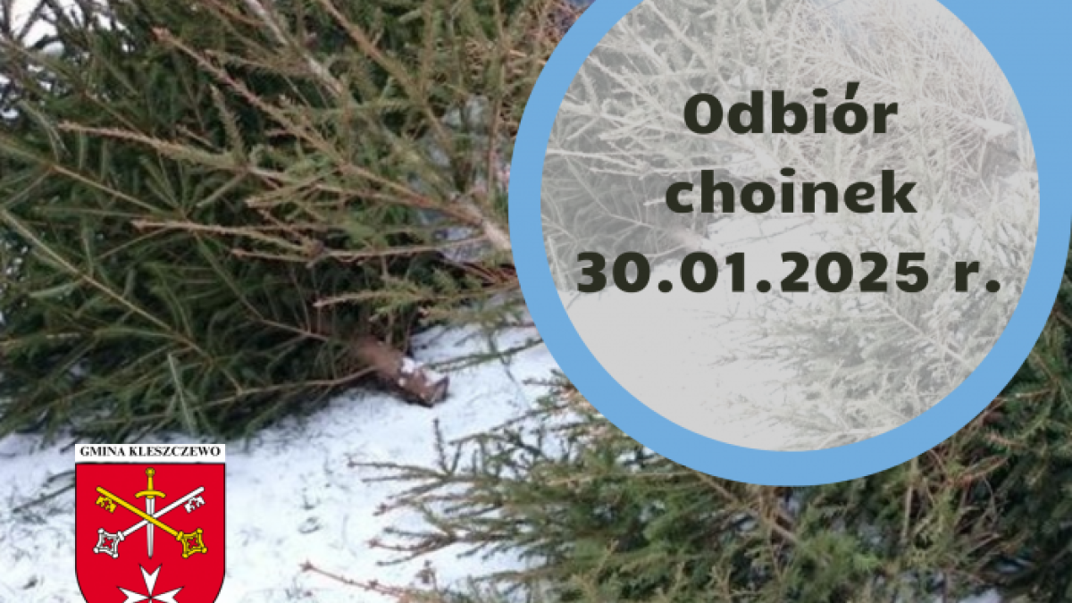 Odbiór choinek w Gminie Kleszczewo