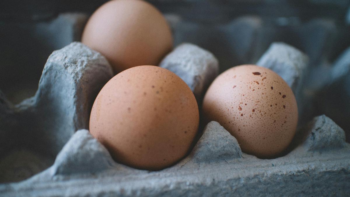 Pilne ostrzeżenie GIS: bakteria Salmonella wykryta w jajach – sprawdź, czy masz ten produkt!
