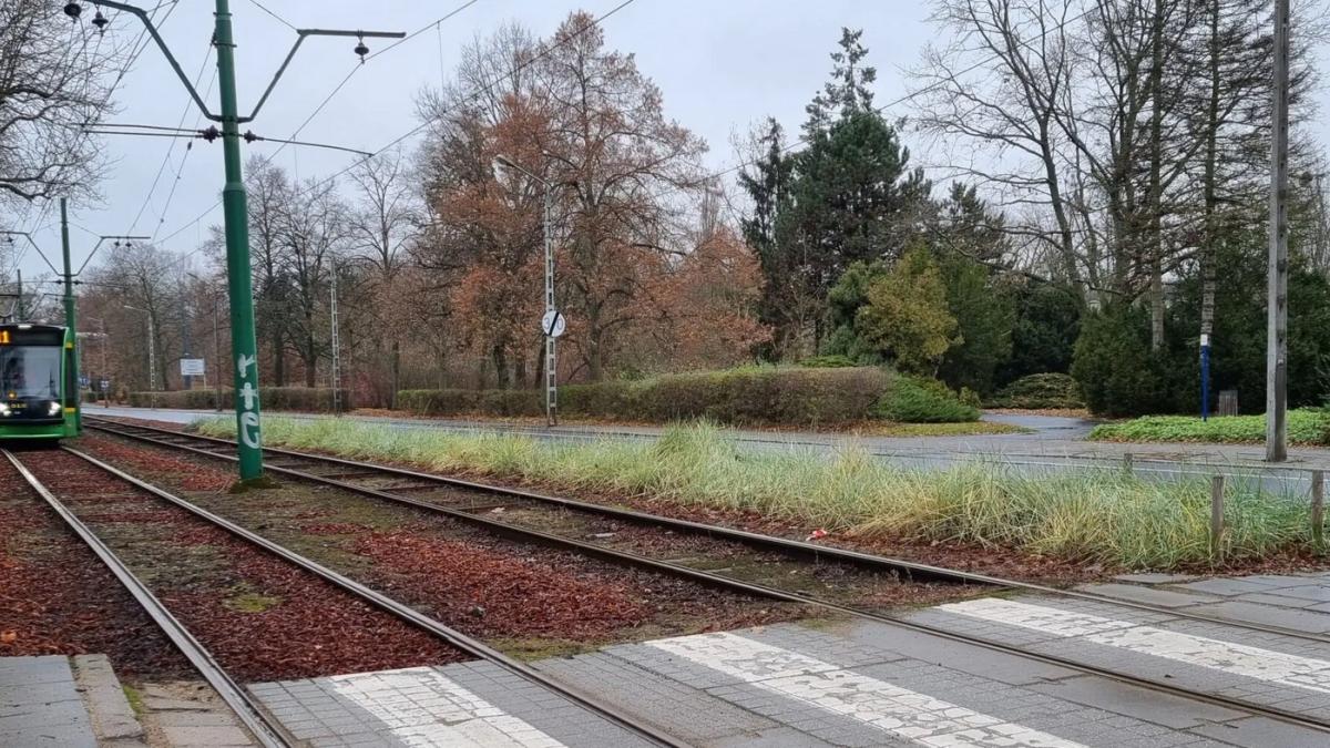 Rozpoczęcie remontu na Alei Wielkopolskiej – od 20 stycznia