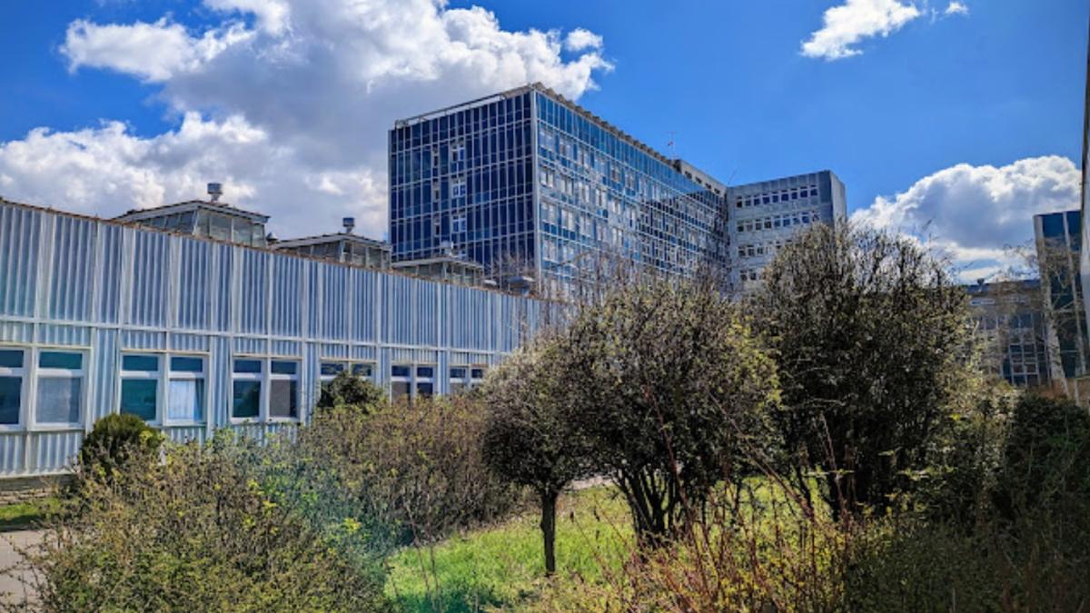 Nowa dyrektorka szpitala w Lesznie, ale neurologia wciąż zamknięta