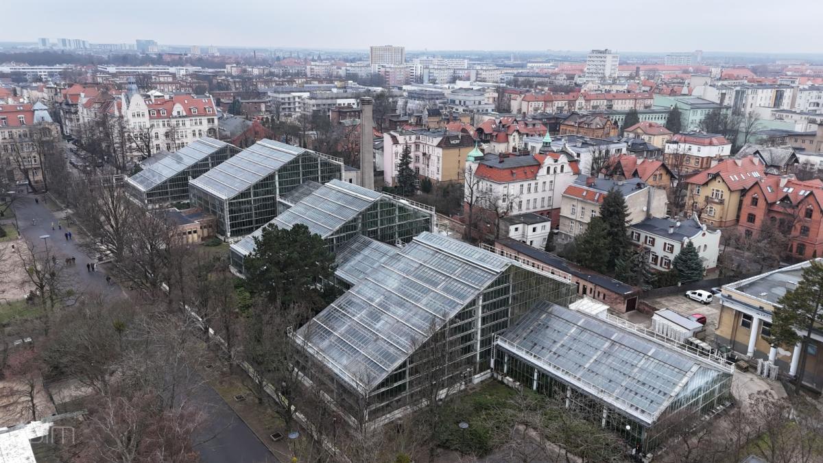 Palmiarnia Poznańska czeka na modernizację – nowa era dla zielonego zabytku