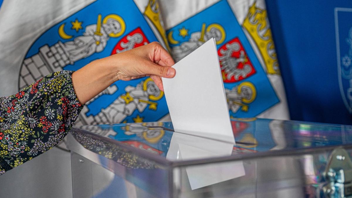 Wybory do rad osiedli w Poznaniu już 13 kwietnia