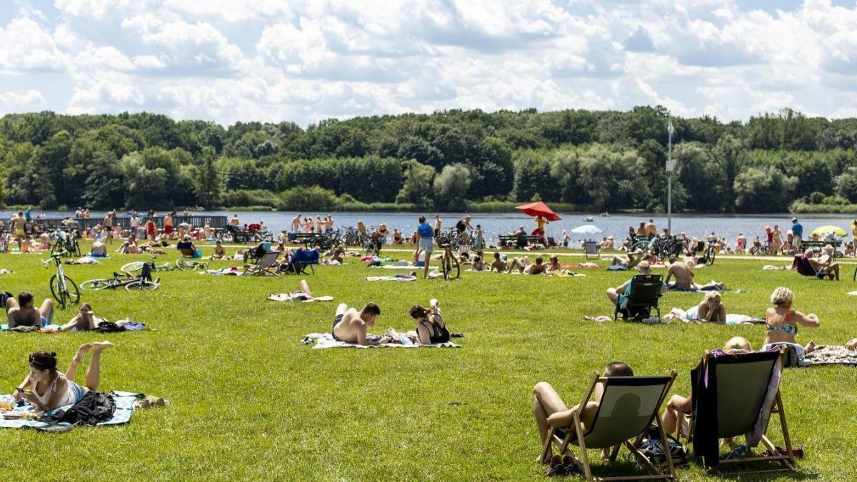 Sezon na kąpieliska w Poznaniu: gdzie popływać, jak korzystać i na co uważać?