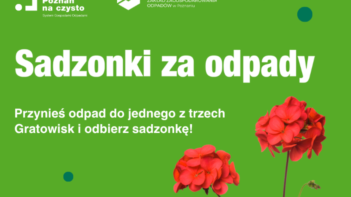 Odbierz pelargonię za odpady – świętujemy Dzień Środowiska w Poznaniu