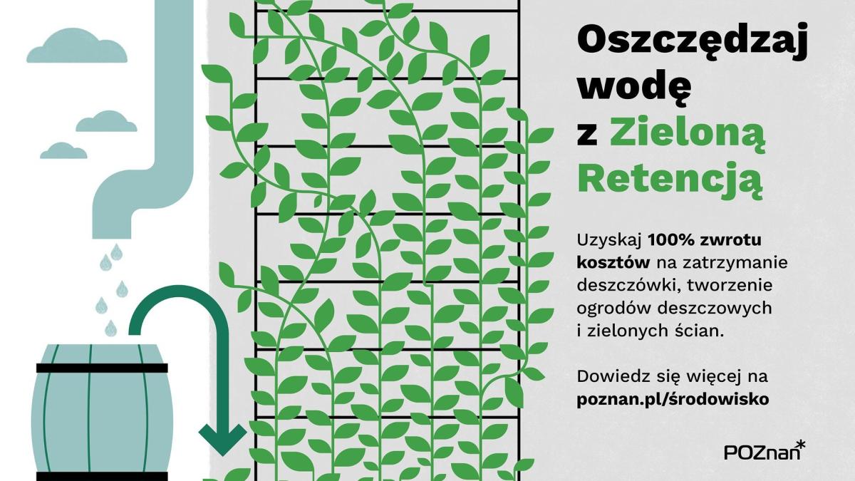 Dotacje na zielone inwestycje w Poznaniu – rusza nabór wniosków