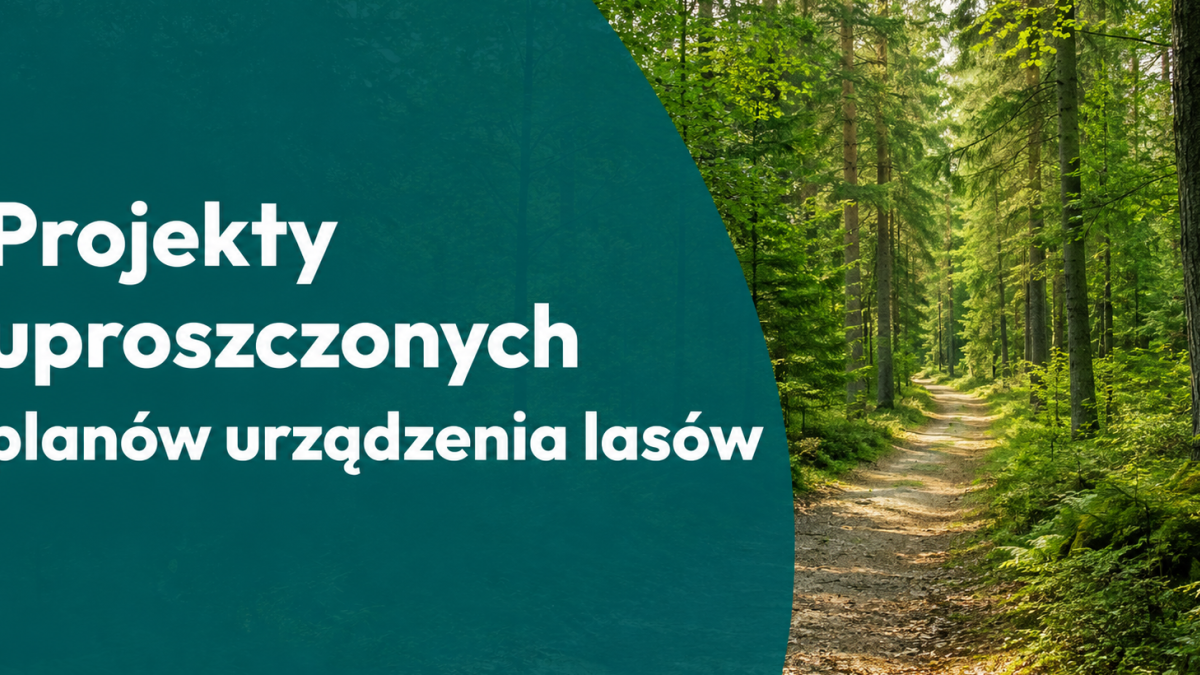 Uproszczone plany urządzenia lasów w Rokietnicy - czas na zgłaszanie uwag