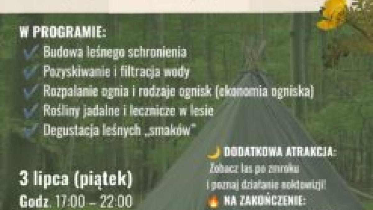 Zapraszamy na warsztaty edukacji ekologicznej „Blisko natury – praktyczne umiejętności w środowisku leśnym”