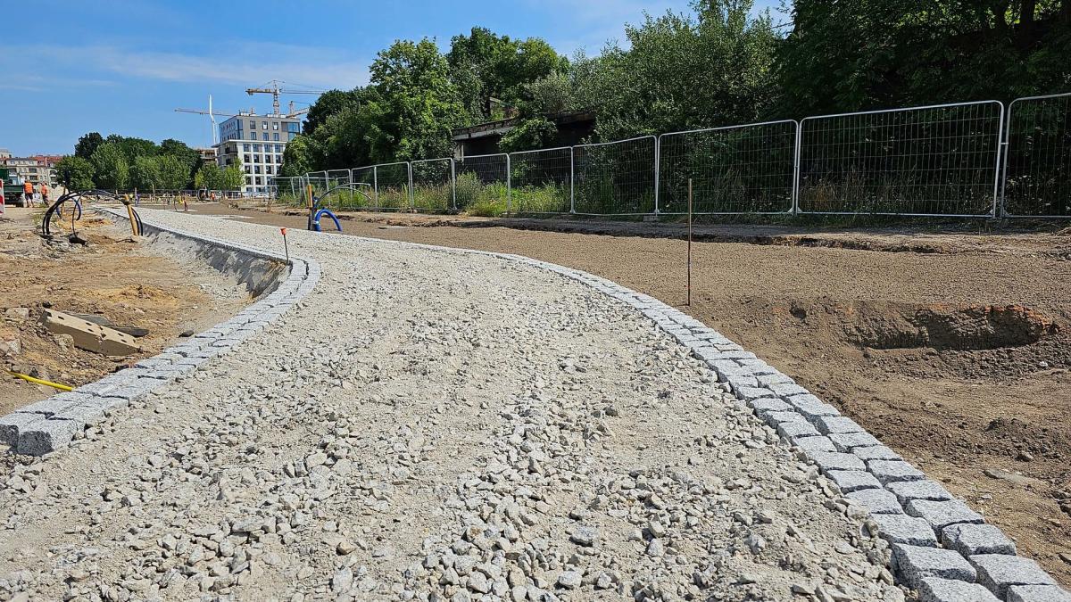 Zdegradowane tereny zyskują nowe, zielone życie