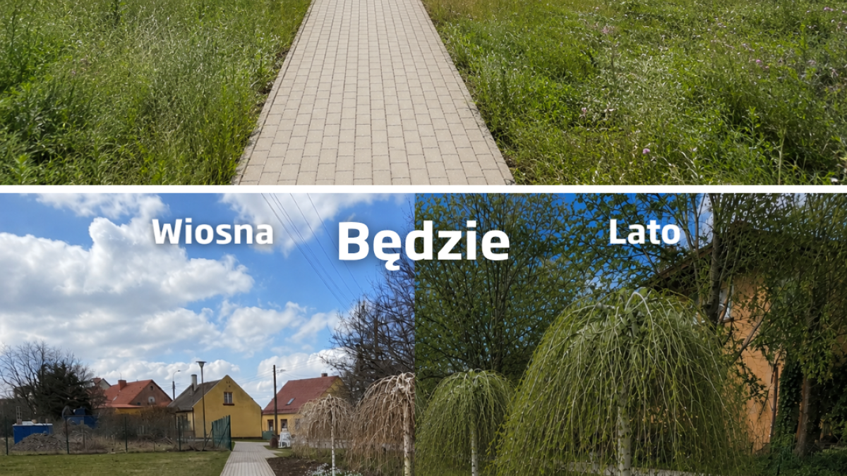Nowy zielony zakątek ozdobi Wągrowiec. Miasto zyskało dotację na ekologiczny projekt