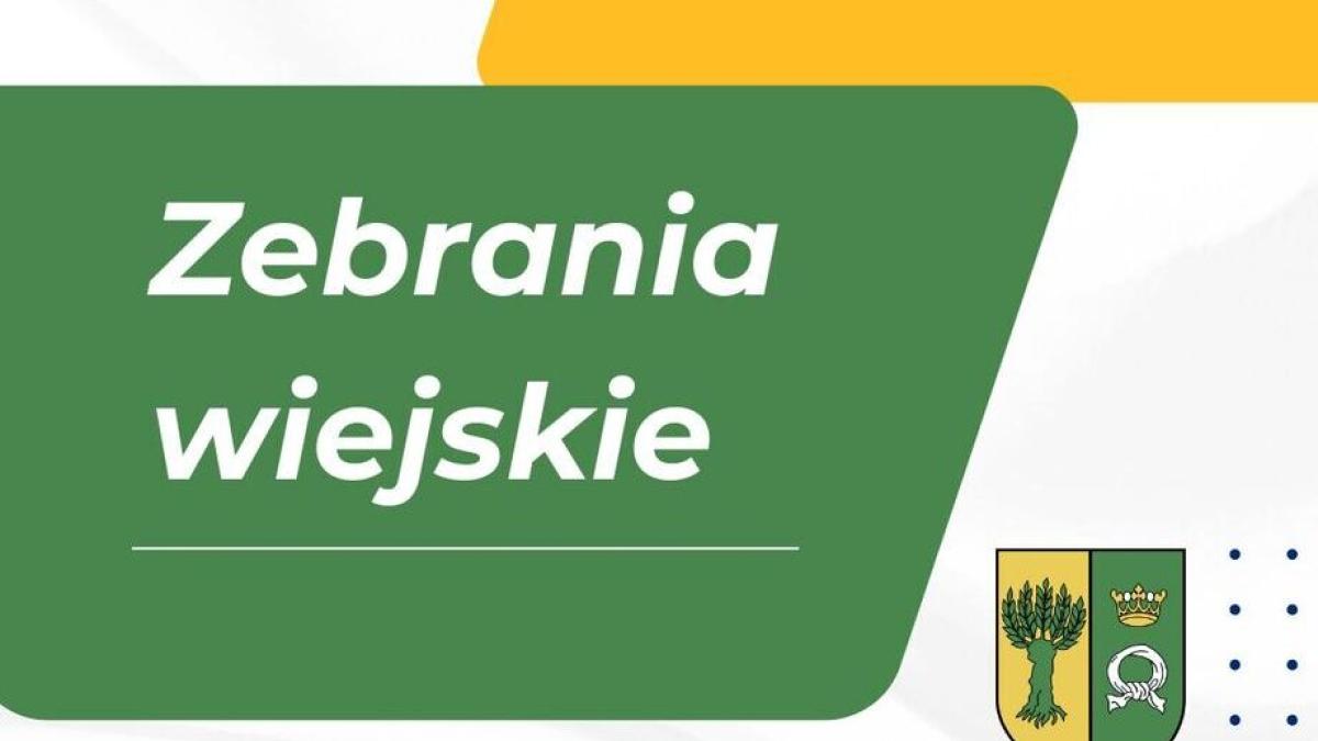 Zebranie wiejskie Sołectwa Napachanie-Dalekie