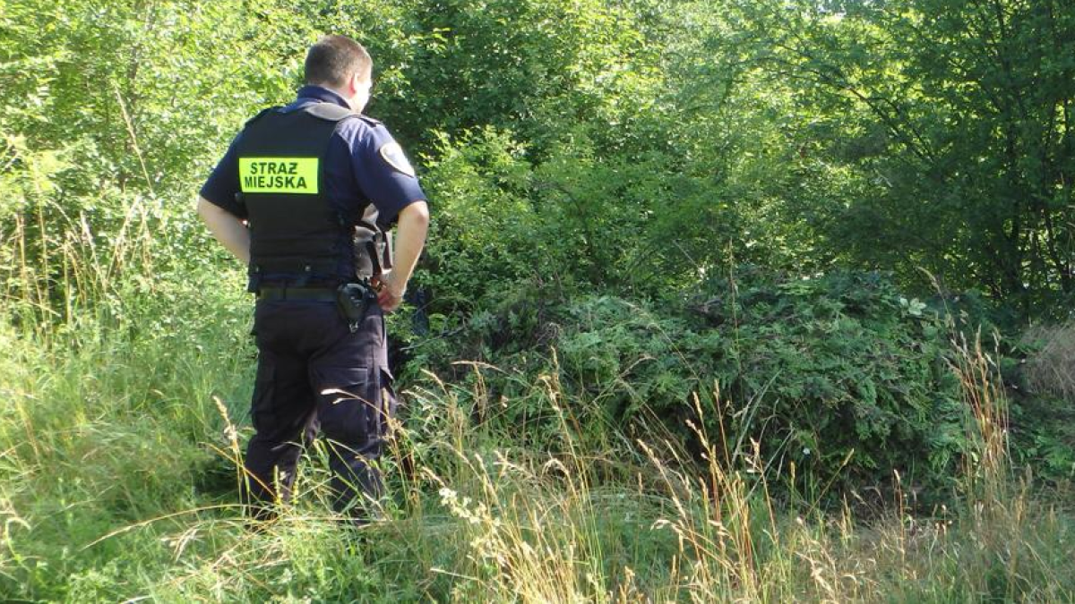Nielegalne porzucenie odpadów na Piątkowskiej