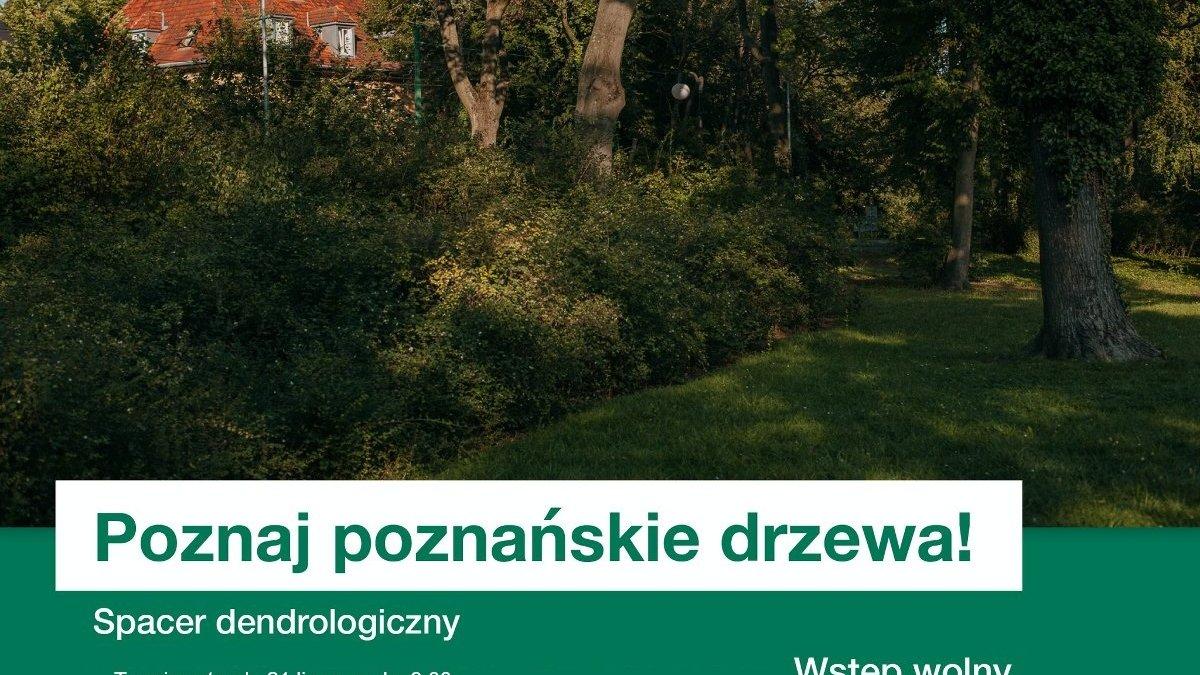Seniorzy odkryją tajemnice drzew. Zapraszamy na spacer dendrologiczny w parku Jana Pawła II