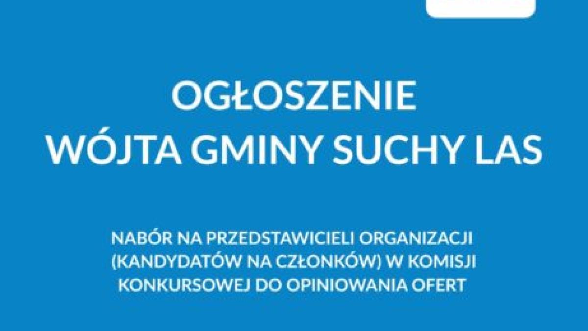 Nabór na przedstawicieli organizacji (kandydatów na członków) w komisji konkursowej do opiniowania ofert na realizację zadań