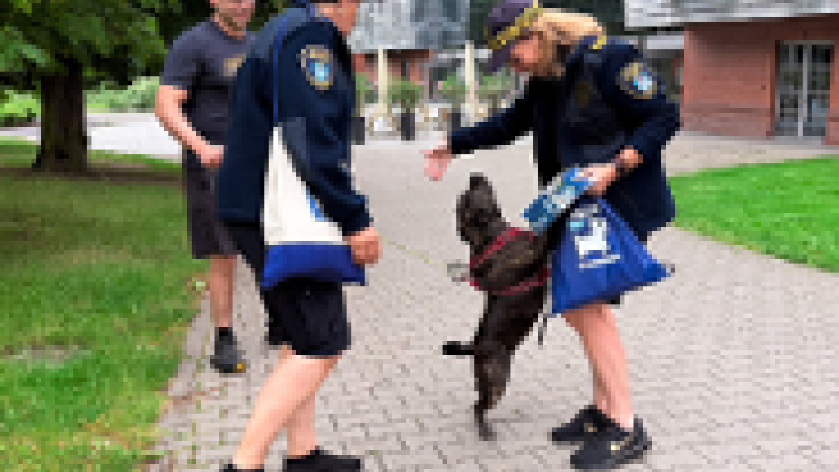 Poznańskie kejtry świętują