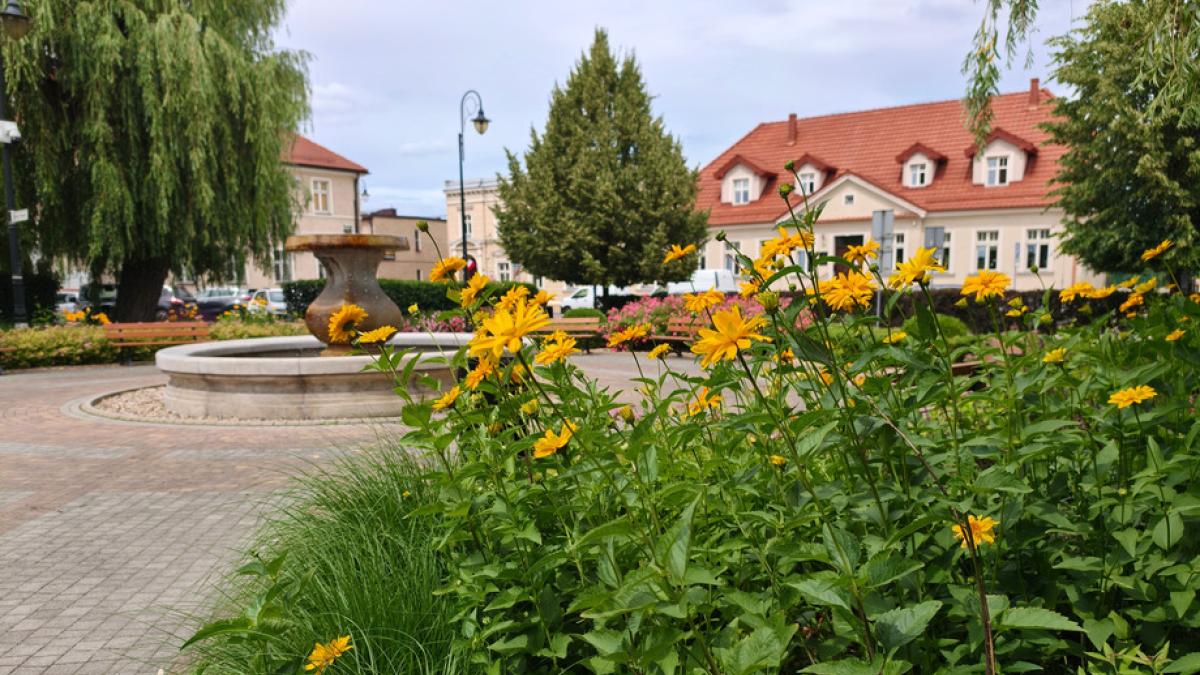 Kwitnące skwerki