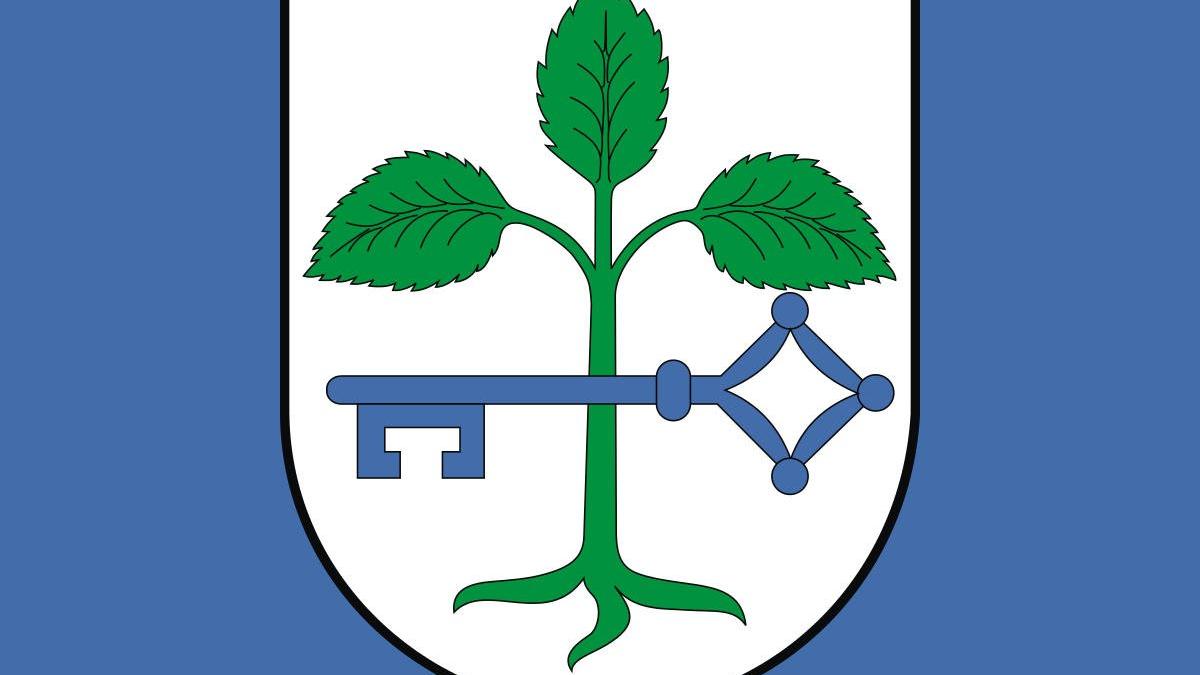Dot. Budowy obwodnicy m. Niepruszewo - Miasto i Gmina Buk