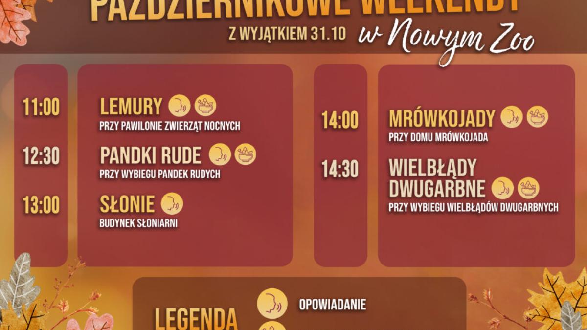 Październikowe weekendy w Nowym Zoo