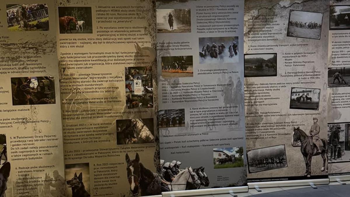 „Weterani na służbie” - wystawa w Komendzie Miejskiej PSP w Poznaniu - Komenda Miejska Państwowej Straży Pożarnej w Poznaniu - Portal Gov.pl