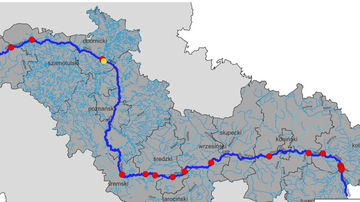Strefa porażenia na Warcie – wykryto bakterie śluzaka ziemniaka