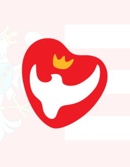 Geoankieta o lasach społecznych wokół Poznania trwa do 30 września - Gniezno