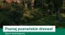 Spacer dendrologiczny dla seniorów w Poznaniu: park Jana Pawła II, 21 lipca - Poznań