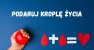 W Komornikach krew będzie można oddać 18 października w godzinach 8:00–13:00 - Komorniki